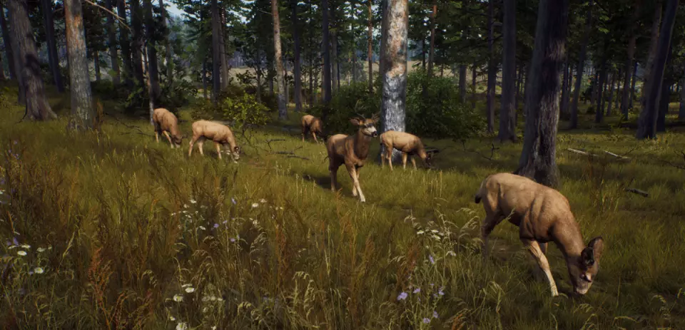 Way of the Hunter